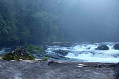Serra da Bocaina. Clique para ampliar. Foto: Foco na Natureza - Todos os direitos reservados