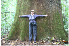 Foco na Natureza - Todos os direitos reservados
