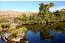 Foco na Natureza - Todos os direitos reservados Foco na Natureza - Todos os direitos reservados
