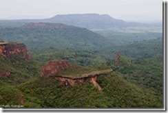 Foco na Natureza - Todos os direitos reservados
